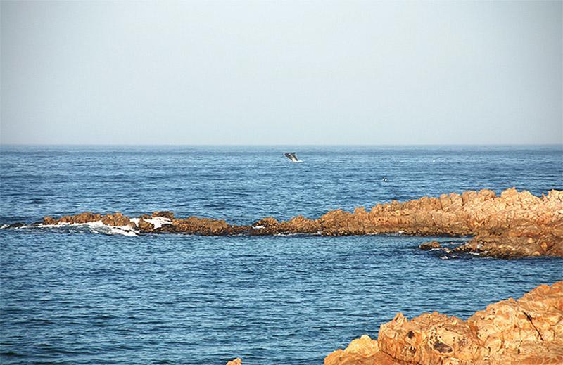 Evane Plettenberg Bay Luaran gambar